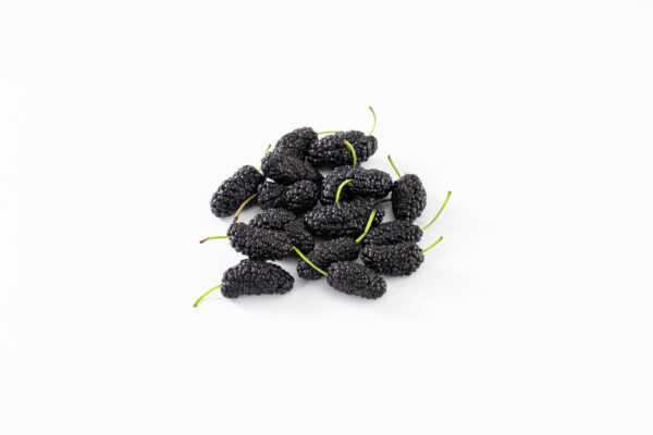 IQF mulberry